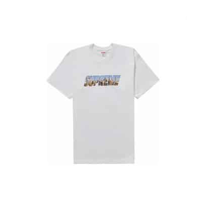 supreme gothem tee white