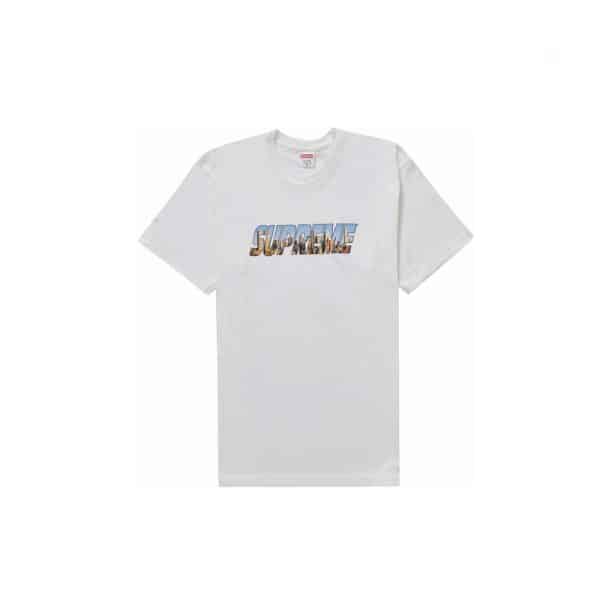 supreme gothem tee white