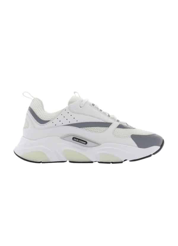 Dior B22 Gray White