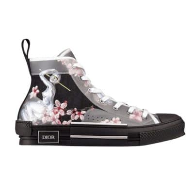 Dior B23 High Canvas Sorayama