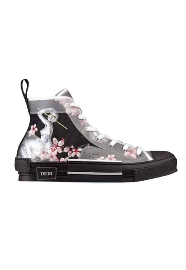 Dior B23 High Canvas Sorayama