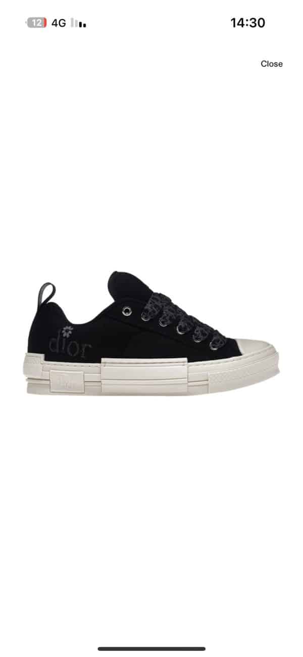 Dior B23 Skater Low