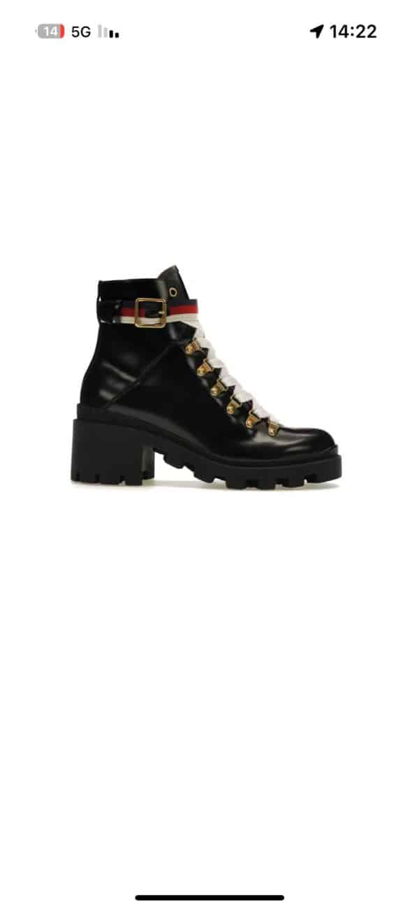 Gucci Sylvie Web