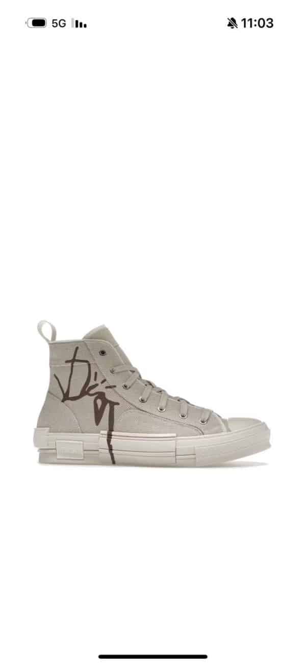 Dior B23 Cactus Jack