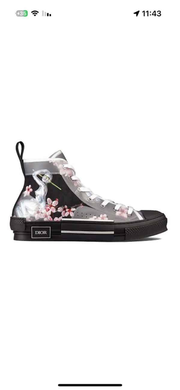 Dior B23 High Canvas Sorayama