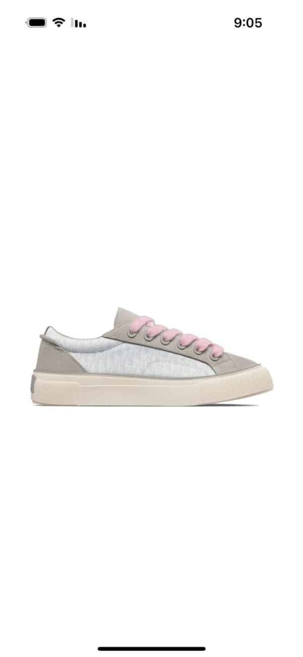 Dior B33 Grey White