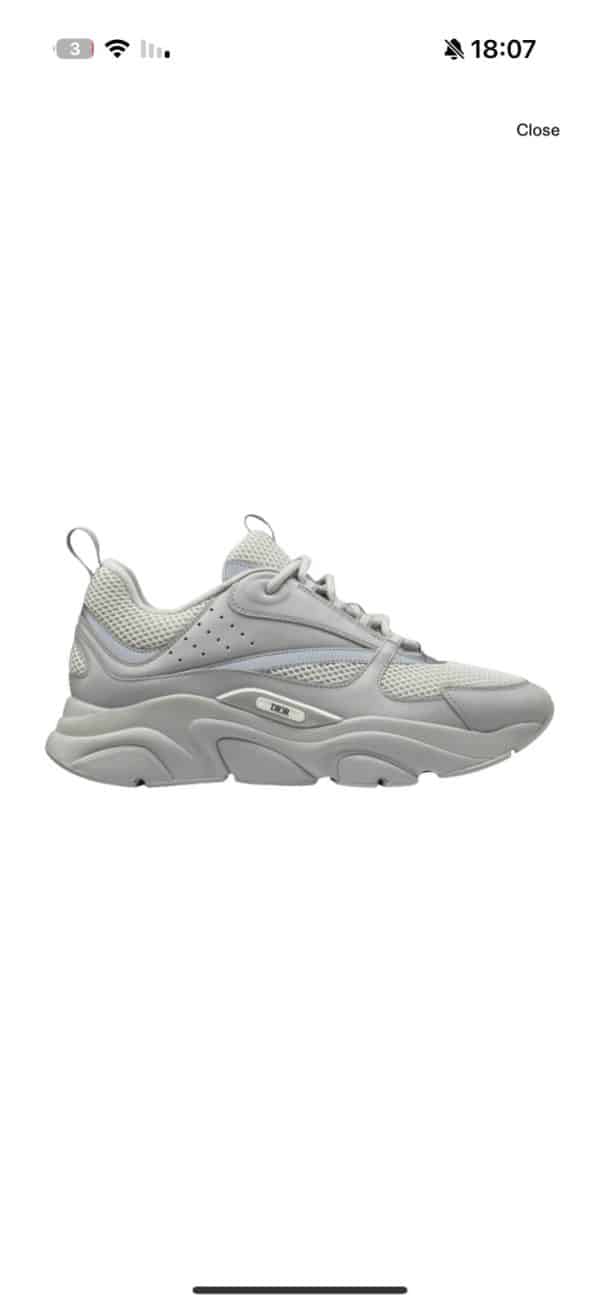Dior B22 Grey