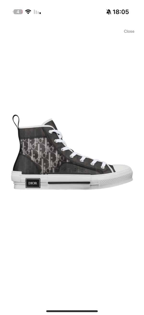 Dior B23 High Top Logo