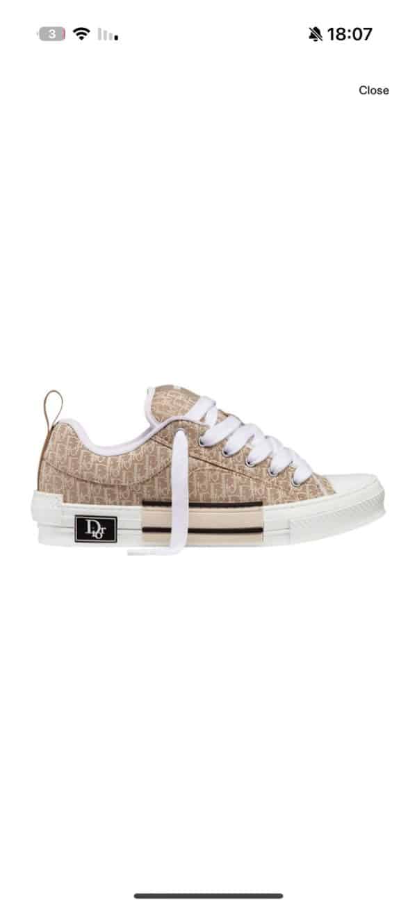 Dior B23 Low Casual