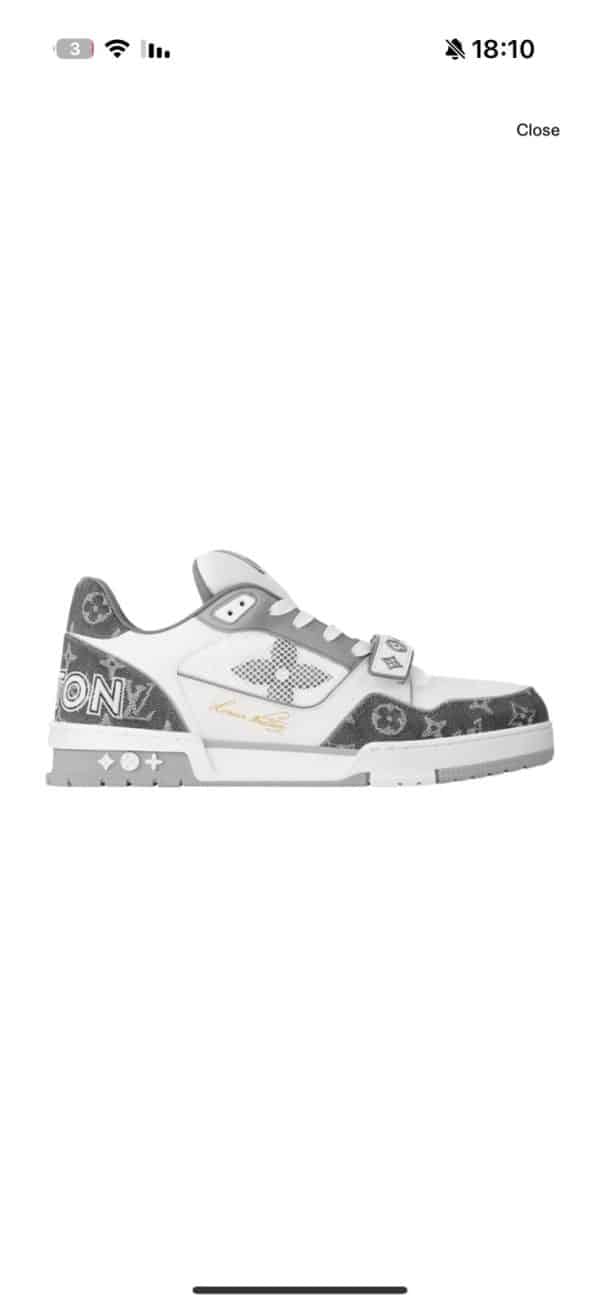 Louis Vuitton LV Trainer Gray