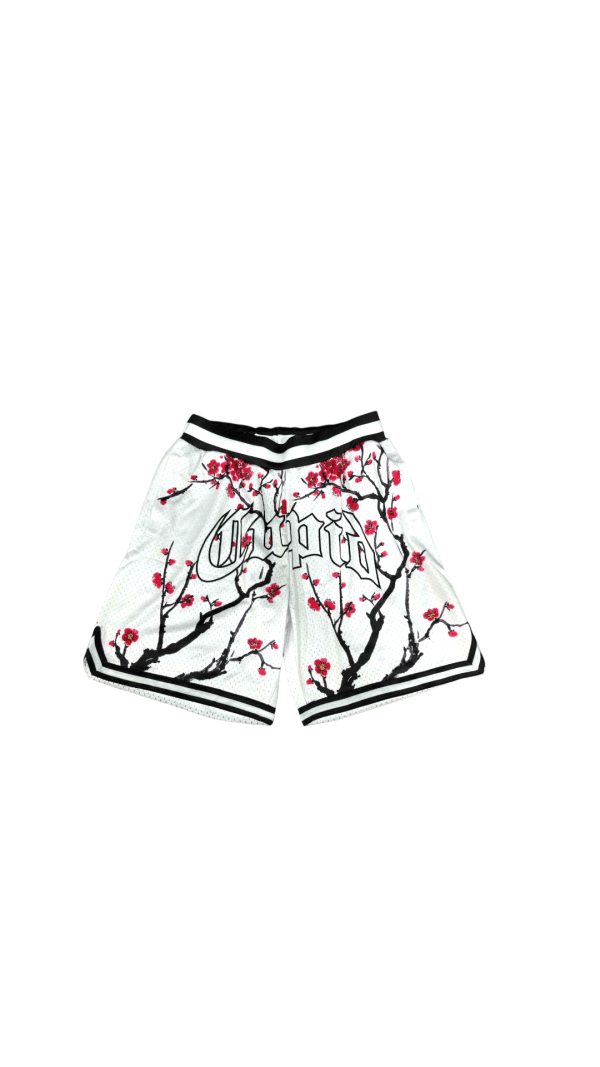 cupid  shortss sakora